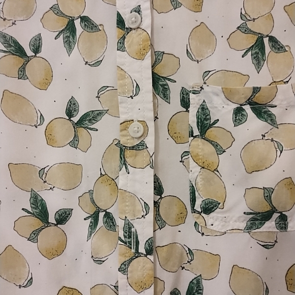 Beachlunchlounge Lemon & Leaf 100% Viscose Button Up Novelty Print Shirt Sz XS - Picture 4 of 8